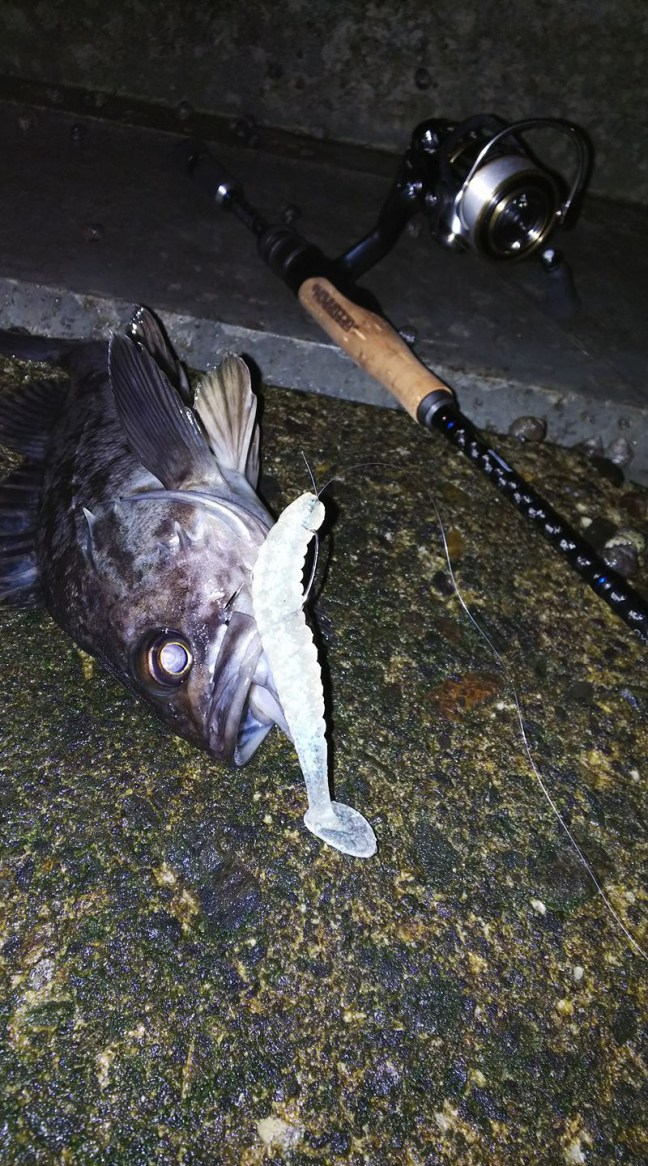 o0800144014045441199