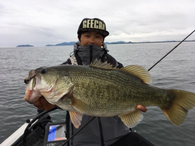 o0960072014055008842