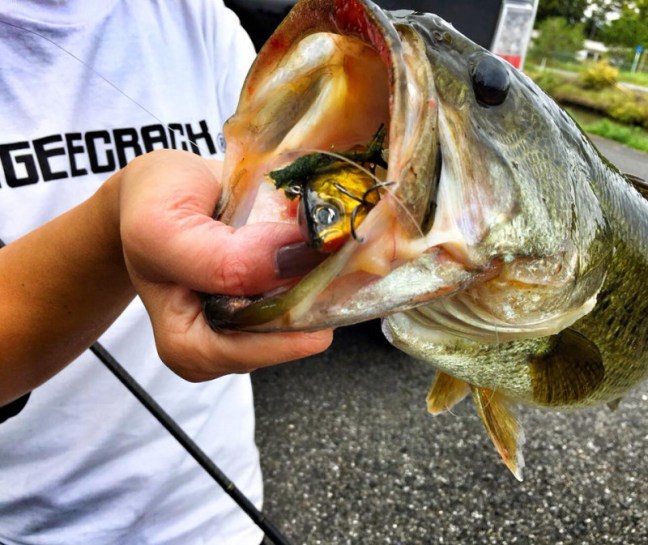 o0960080814052699790