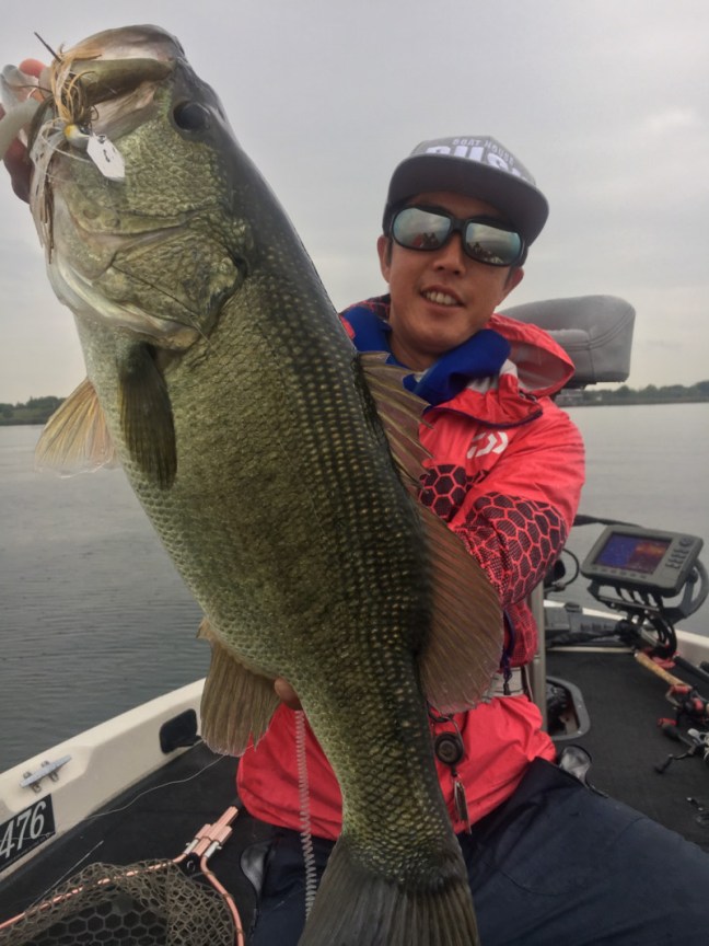 o1108147814043368141