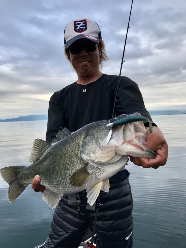 o1108147814044190049