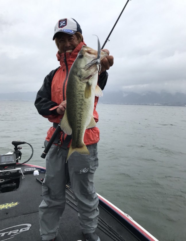 o1126145614043372335