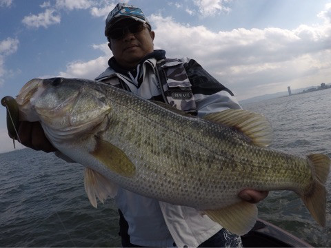 o0480036014063436269