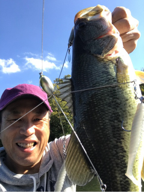 o0480064014064819444