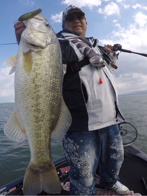 o0480064114063436272