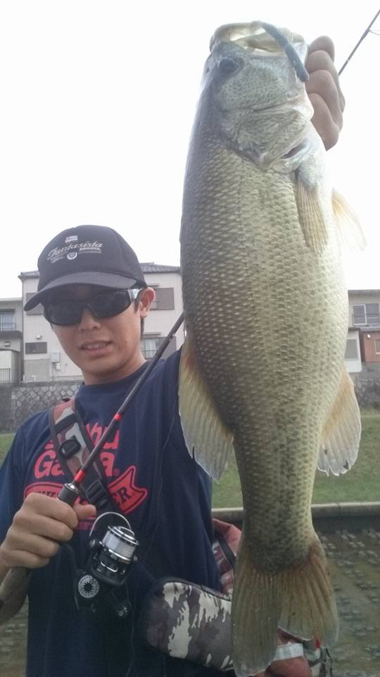 o0540096014071068403