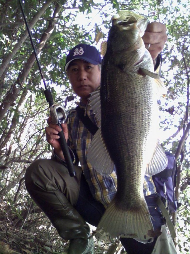 o0720096014071081941