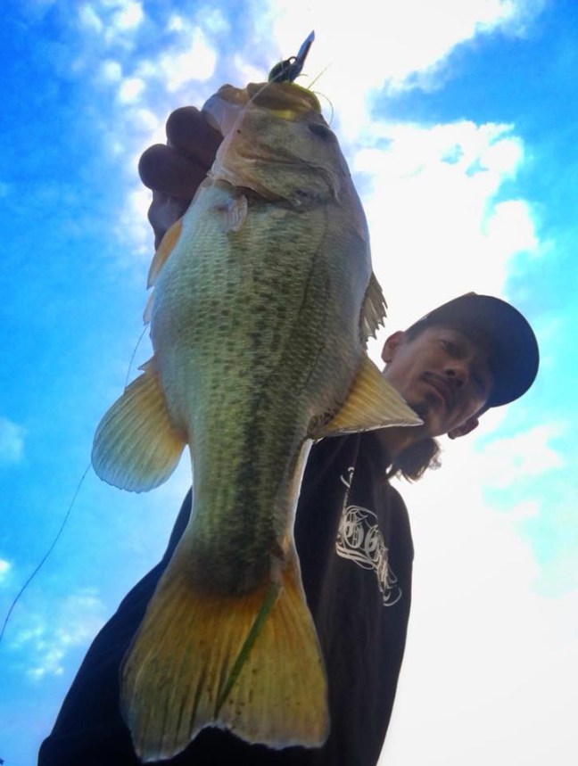 o0724096014064593179