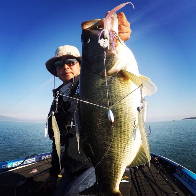 o0960096014062196277