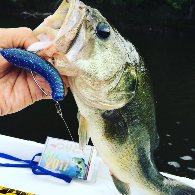 o1080108014059982876