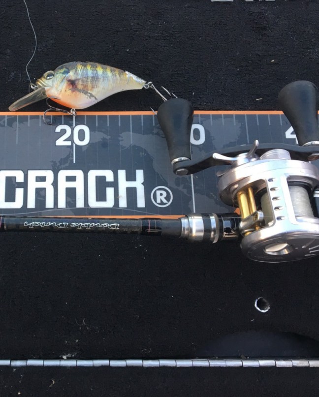 o1080134614071601063