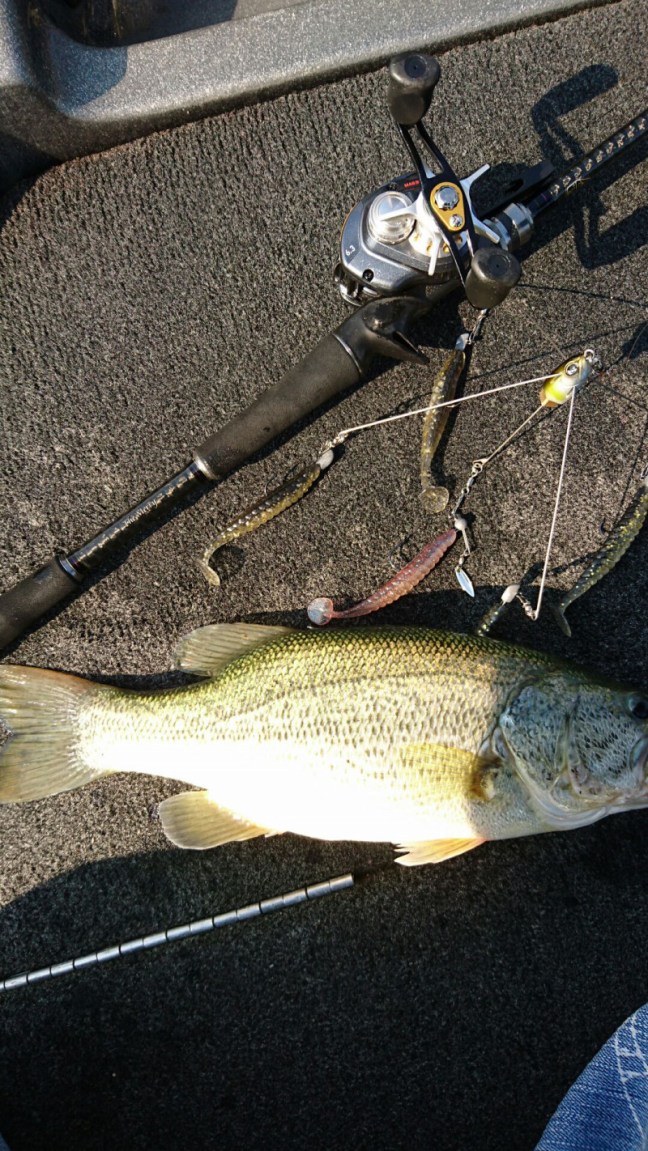 o1080192014062871477