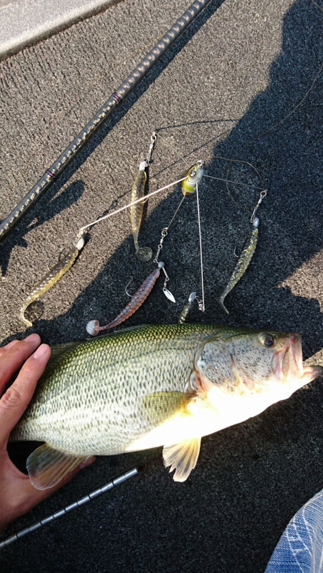 o1080192014062871495