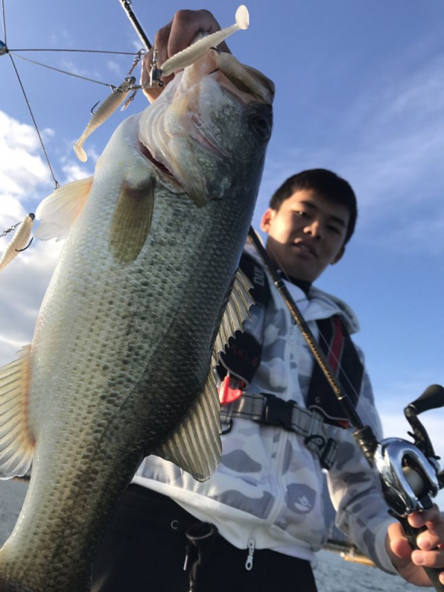 o1108147814071046542