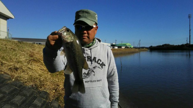 o1280072014071057460