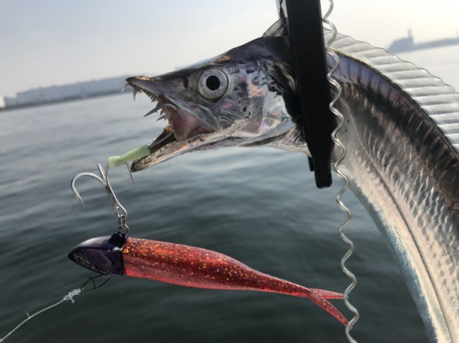 o1478110814062857897