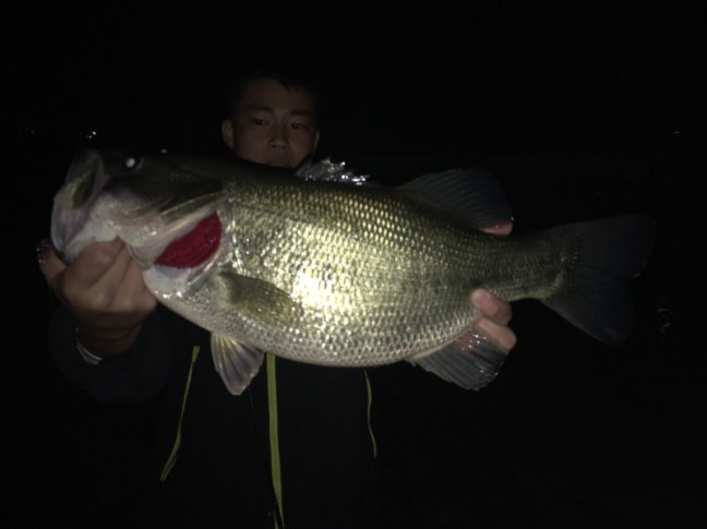 o1478110814062978040