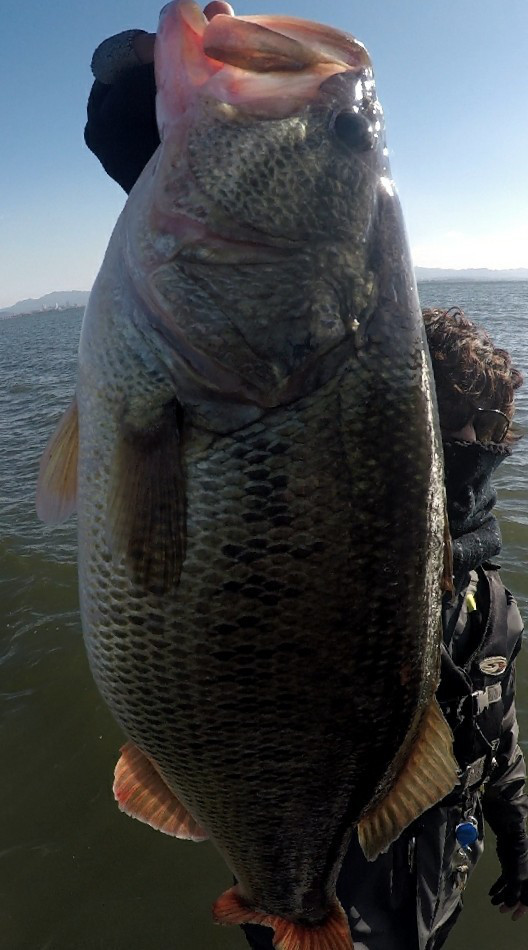 o0528095014095991786