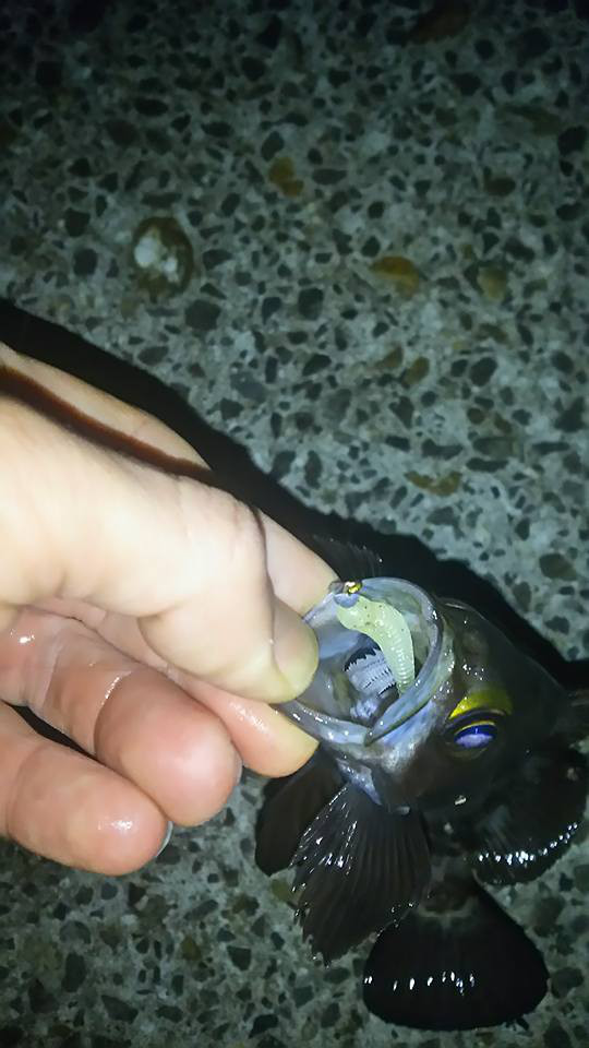 o0540096014084578634