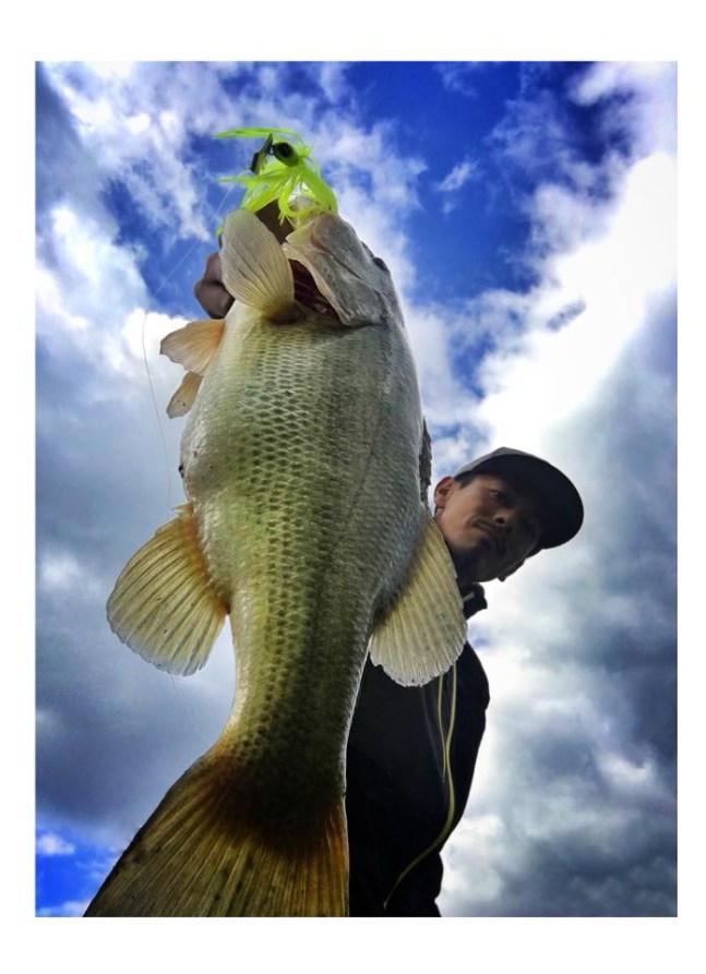 o0696096014091513584