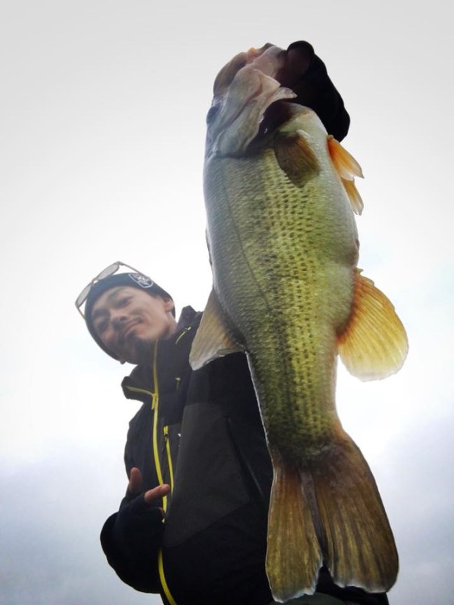 o0720096014074591040