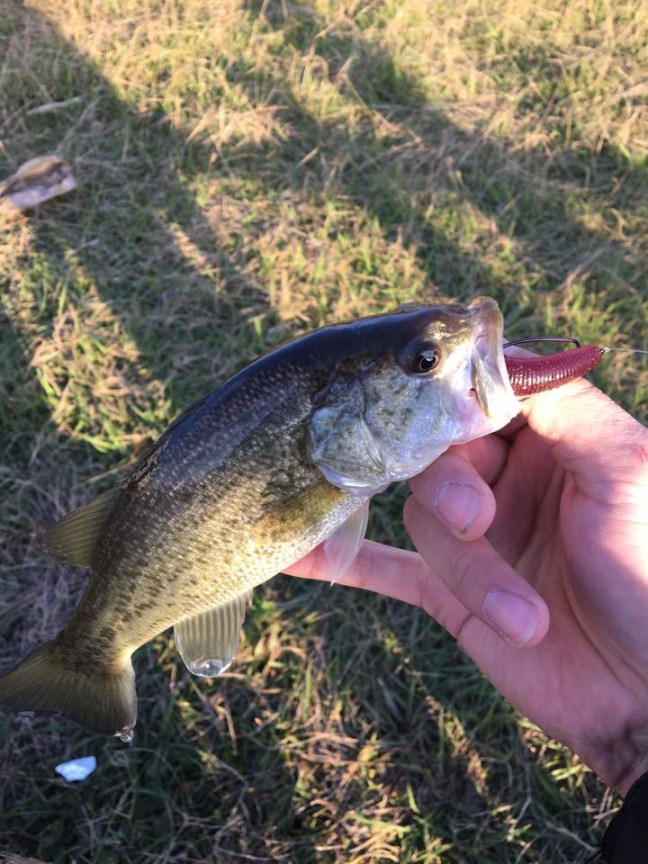 o0720096014081214170