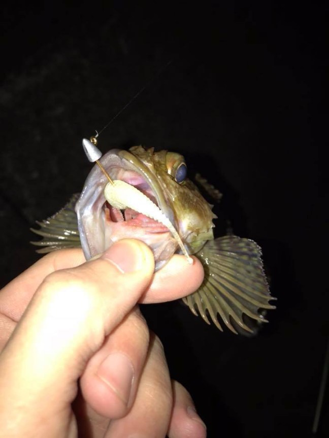 o0720096014084585560