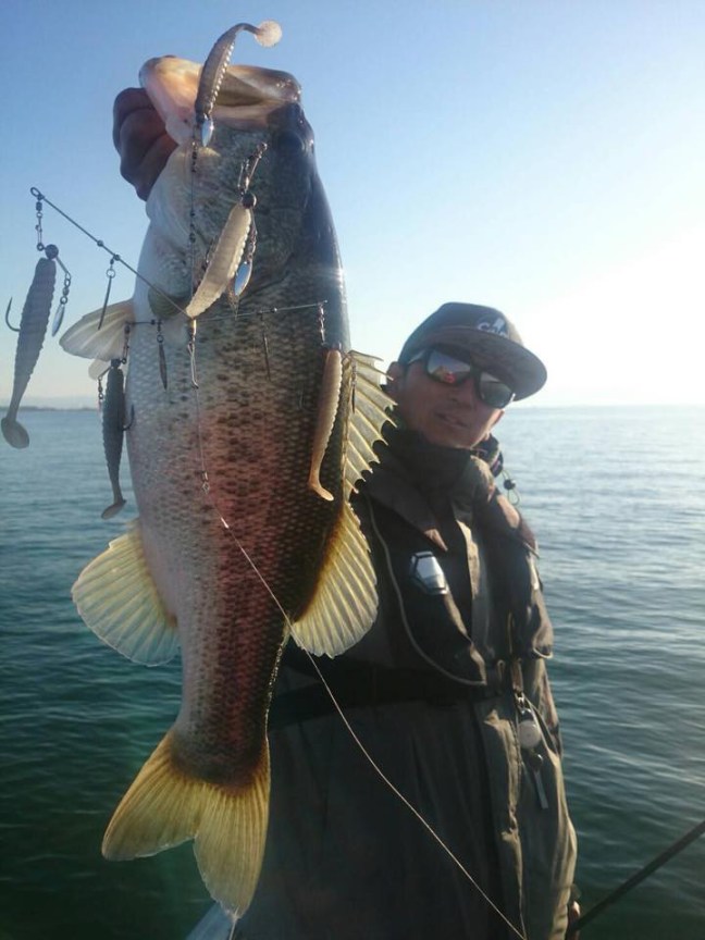 o0720096014085445826