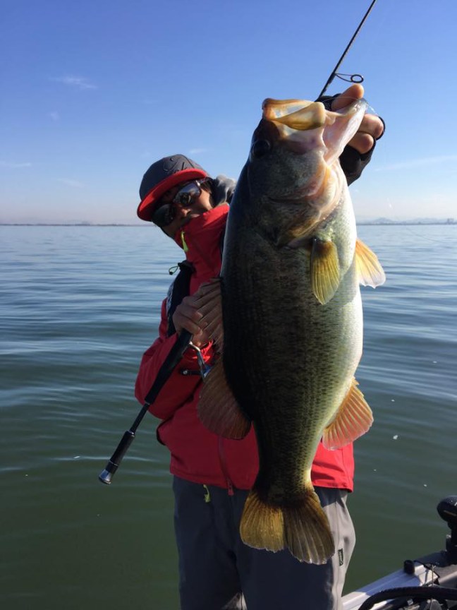 o0720096014089569458