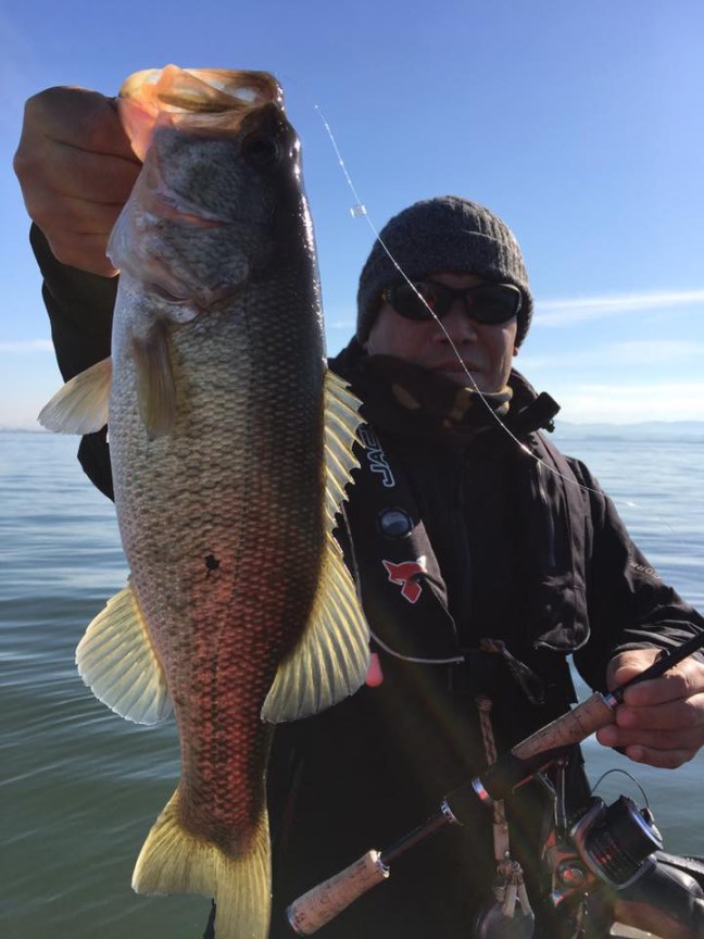 o0720096014089569461