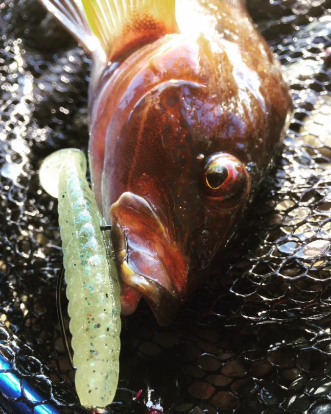 o0768096014081206340