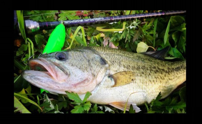 o0960059014084581686