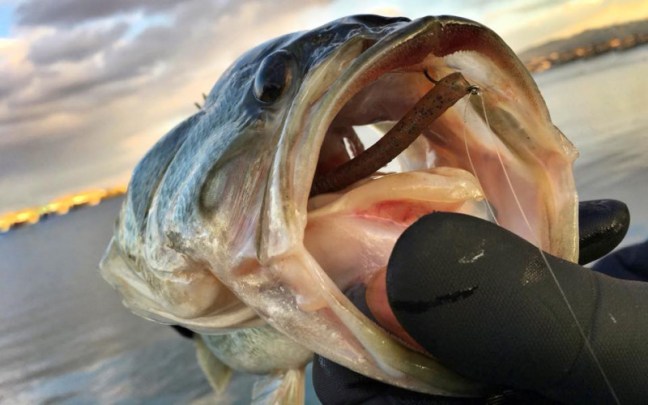 o0960060014081216172