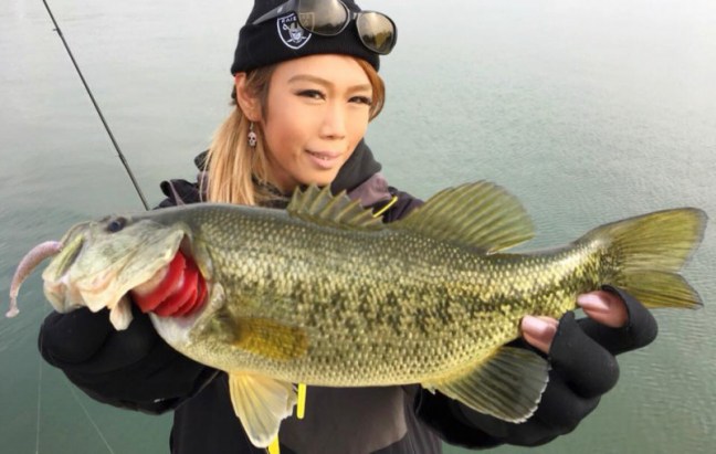 o0960061014084571054