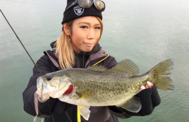 o0960062414084571045