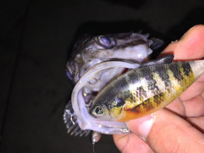 o0960072014081228970