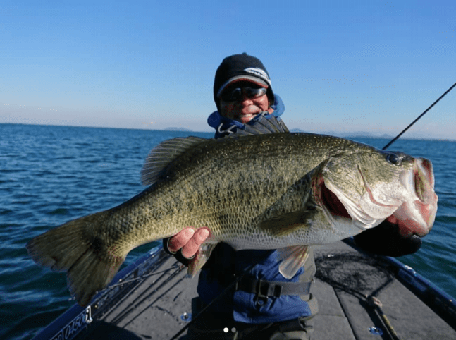 o1178087814095415593