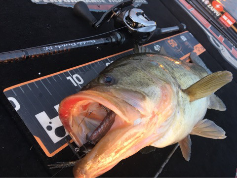 o0480036014103644807