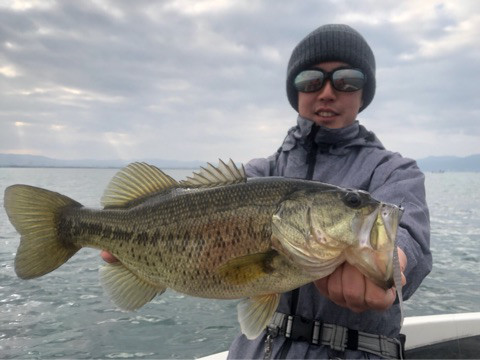 o0480036014118636068