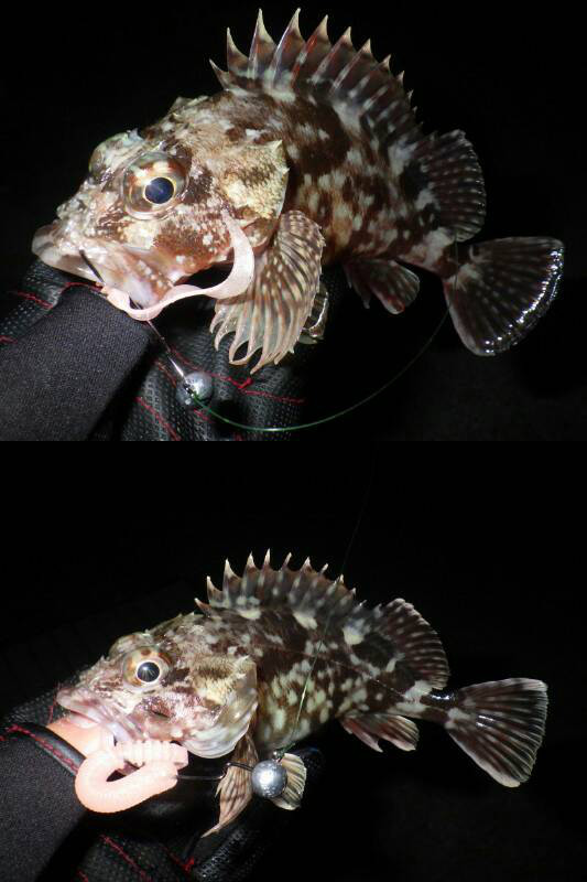 o0533080014106515160