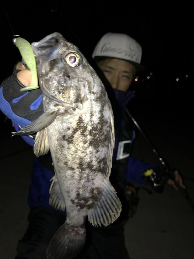 o0720096014098400159