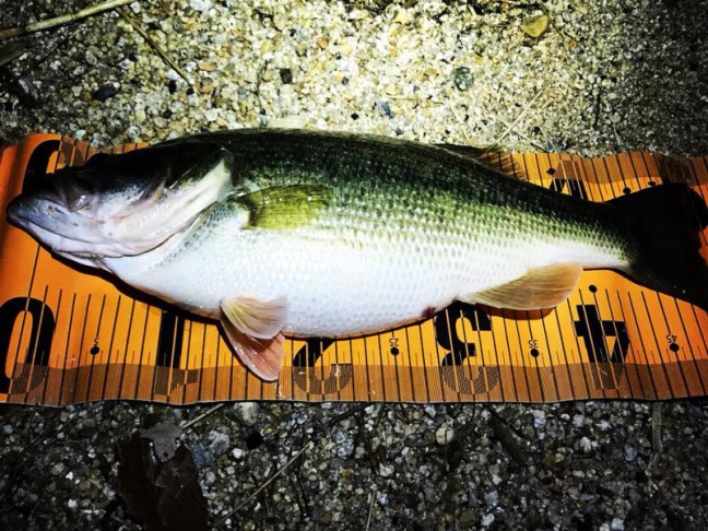 o0960072014098270507