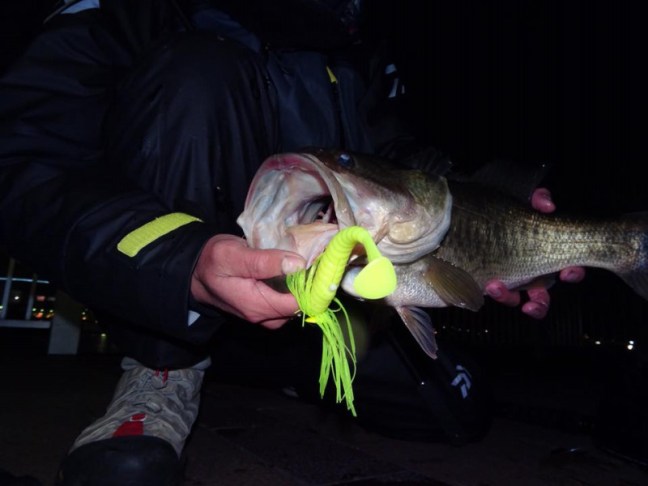 o0960072014106593723