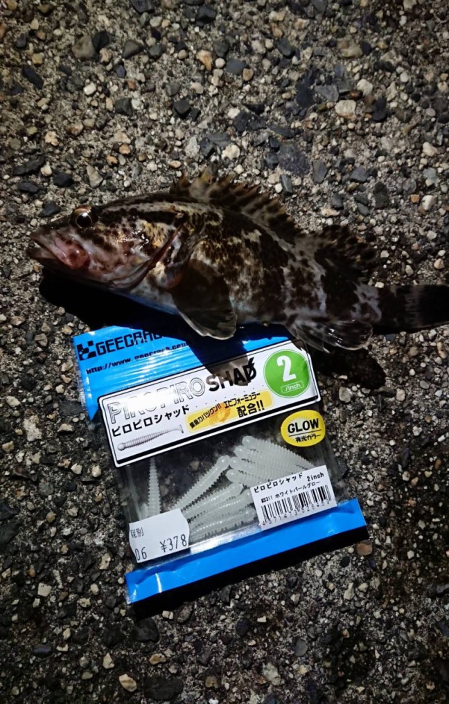 o1021160314119646761