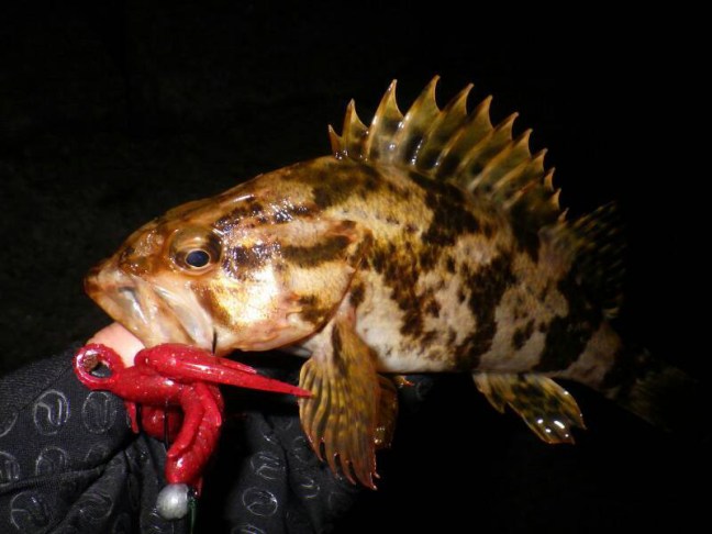 o0800060014137000942