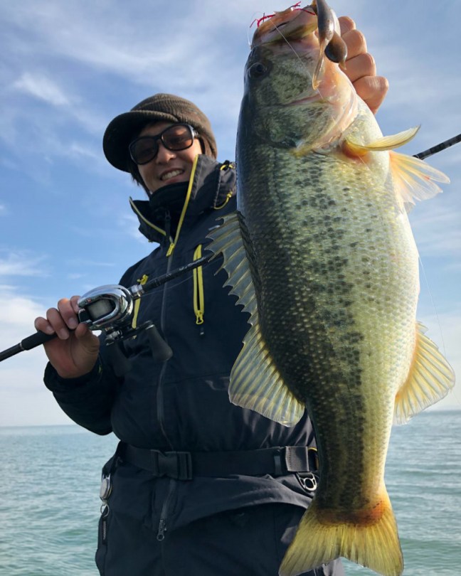 o1080135014133241205