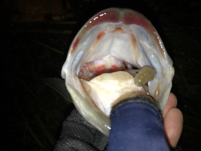 o2016151214121287395