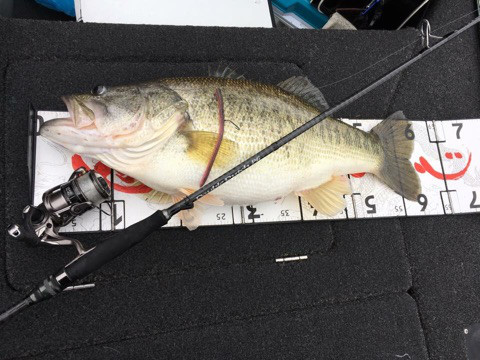 o0480036014151133378