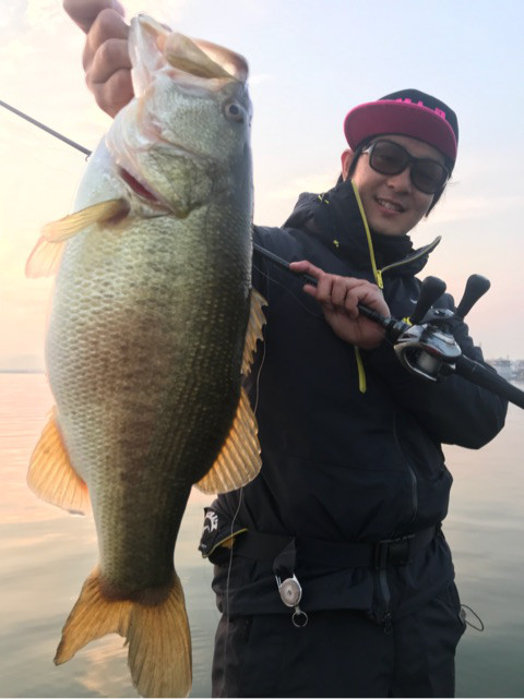 o0480064114149809151