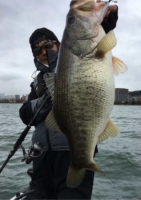 o0480068414151133376